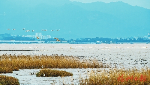 激昂奋进鼓点 奏响争先华章 激昂奋进鼓点 奏响争先华章