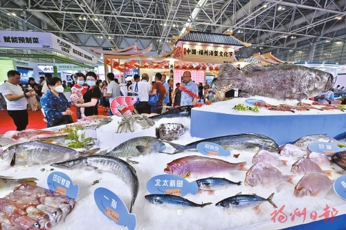 2024渔业周·渔博会在榕开幕 2024渔业周·渔博会在榕开幕